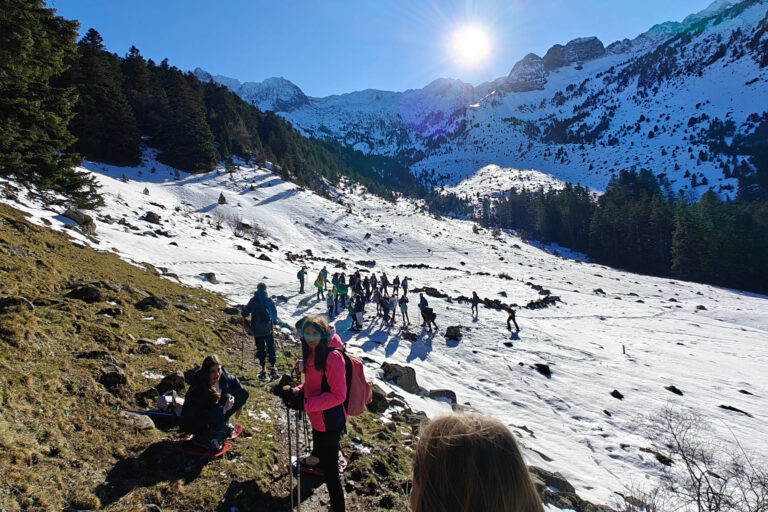 Vine al Camphivern 2025