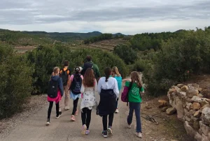 Curs 2026-27 a l’Apassomi