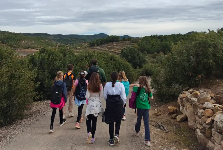 Curs 2026-27 a l’Apassomi